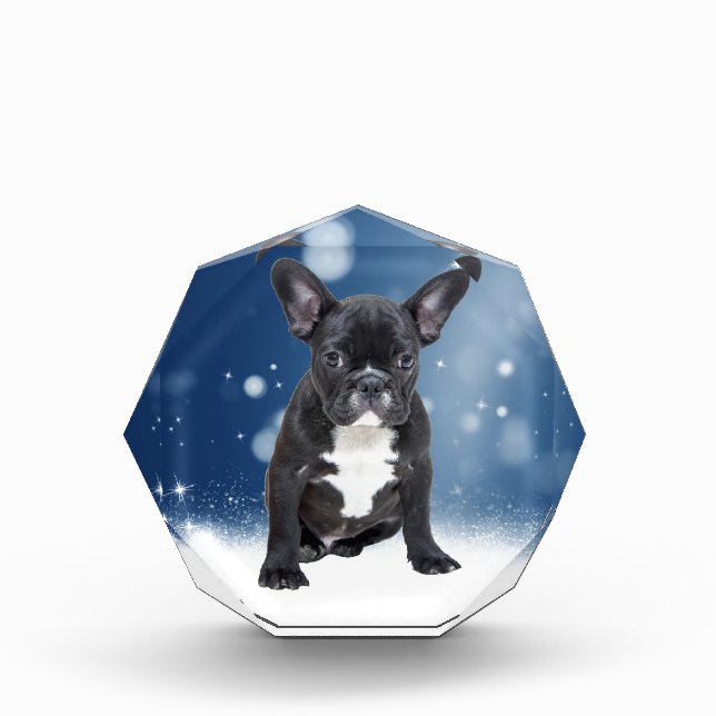 Cute French Bulldog Snow Stars Blue Christmas Acrylic Award (Front)