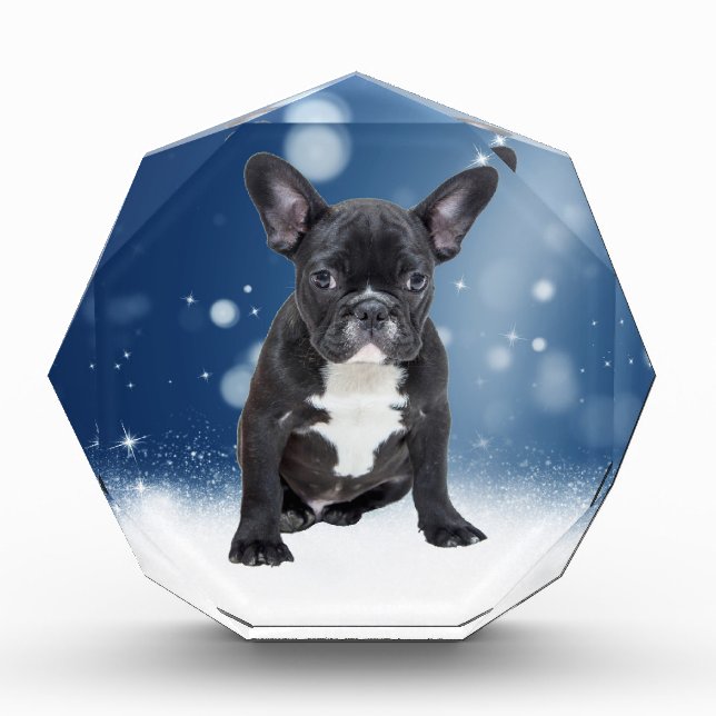 Cute French Bulldog Snow Stars Blue Christmas Acrylic Award (Front)