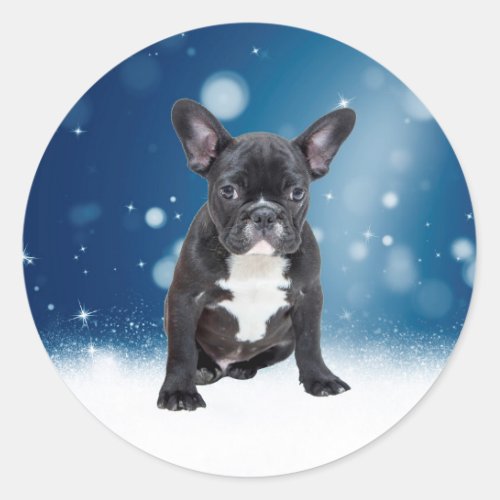 Cute French Bulldog Snow Stars Blue Christmas Classic Round Sticker