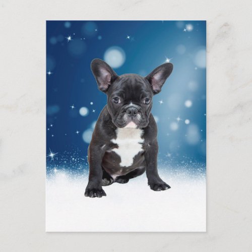 Cute French Bulldog Snow Stars Blue Christmas Holiday Postcard