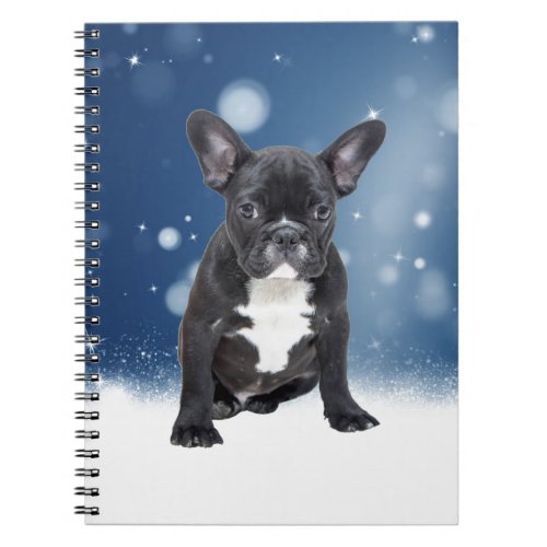Cute French Bulldog Snow Stars Blue Christmas Notebook
