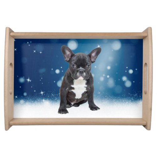 Cute French Bulldog Snow Stars Blue Christmas Serving Tray