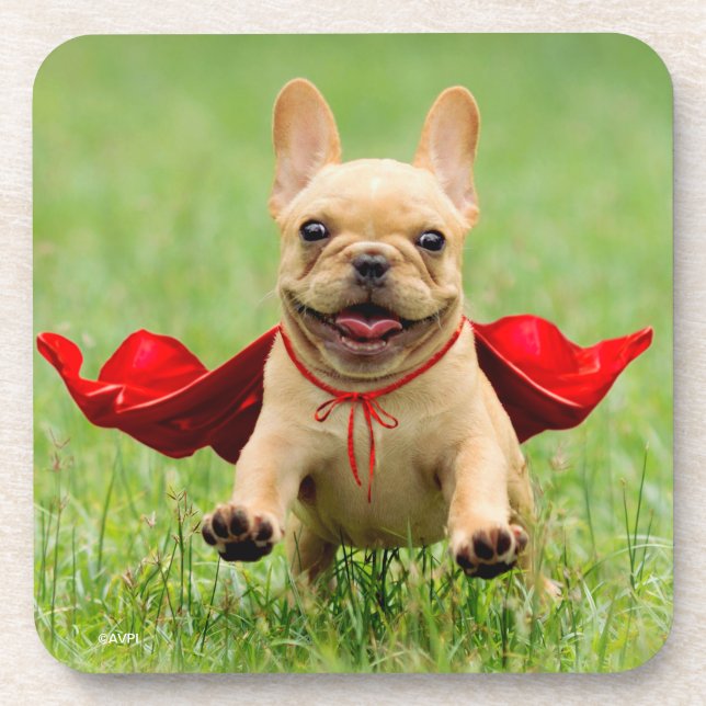 Cute French Bulldog Superhero Runs in Grass Coaster (Front)