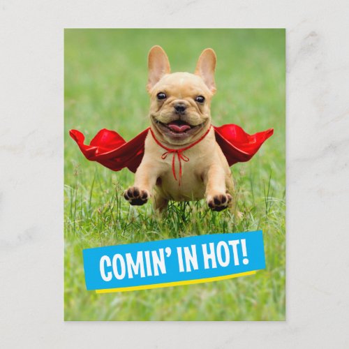 Cute French Bulldog Superhero Runs in Grass Postcard