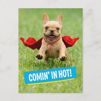 Cute French Bulldog Superhero Runs In Grass Postcard by AvantiPress at Zazzle
