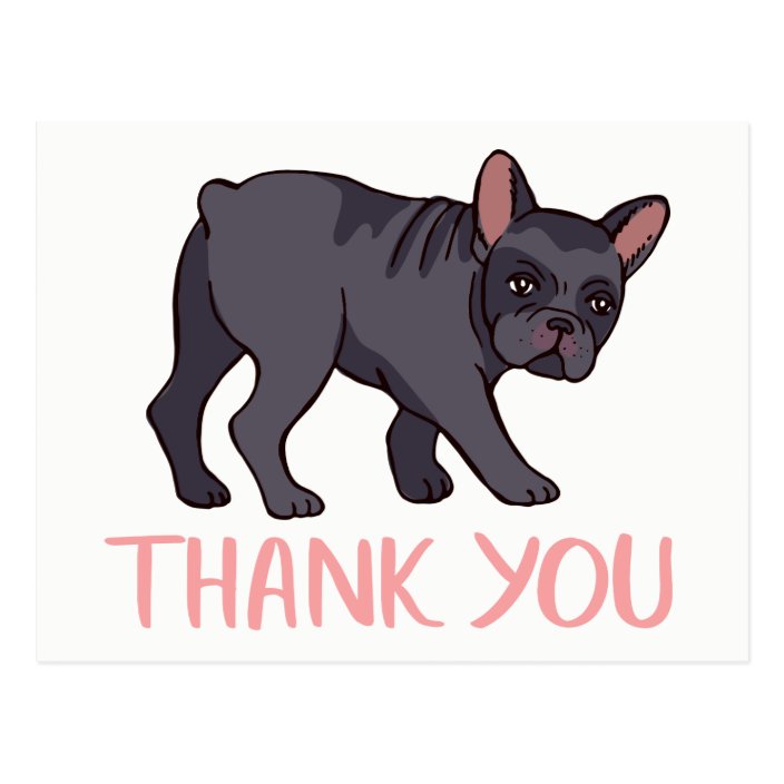 Cute French Bulldog Thank You Frenchie Puppy Dog Postcard | Zazzle.com