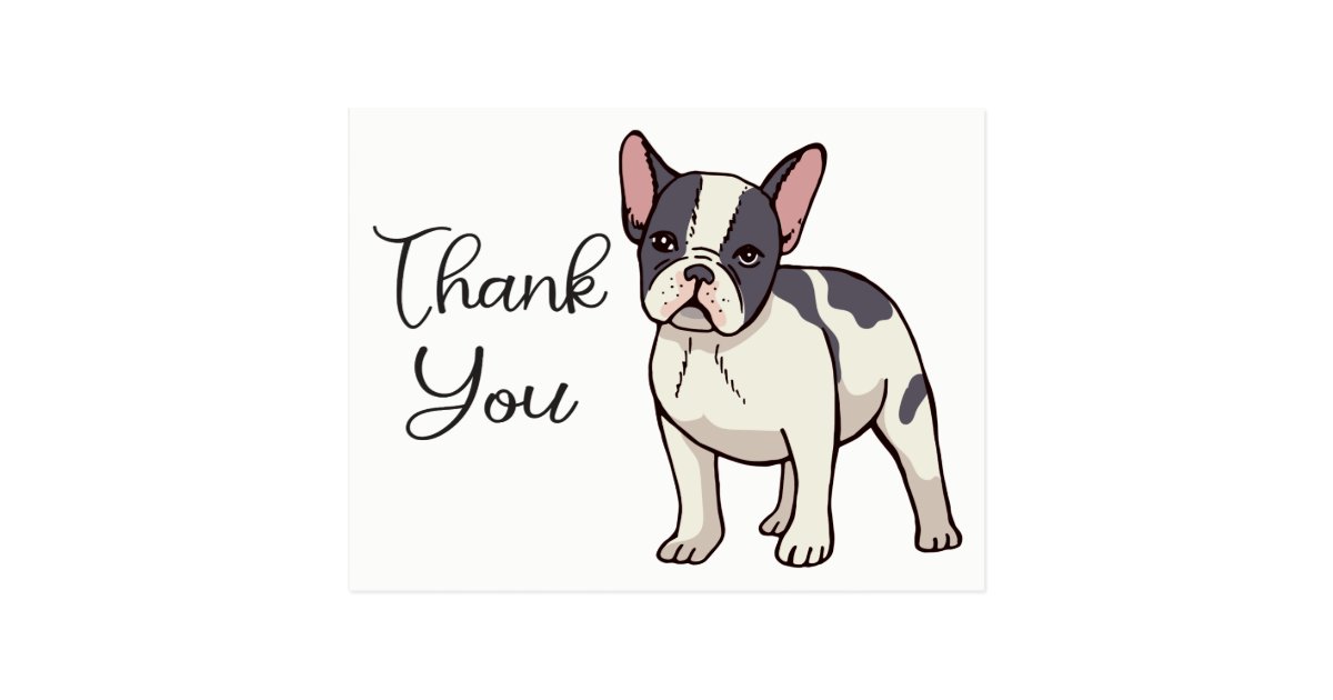Cute French Bulldog Thank You Frenchie Puppy Dog Postcard | Zazzle.com