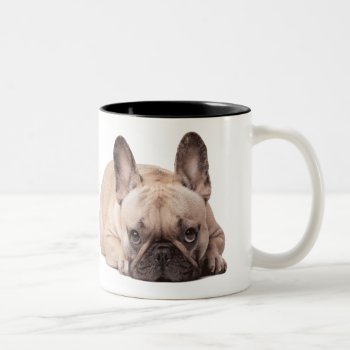 Cute French Bulldog Two-tone Coffee Mug by paul68 at Zazzle
