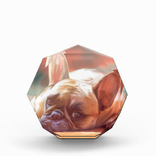 Cute French Bulldog Water Color Art Painting Acrylic Award