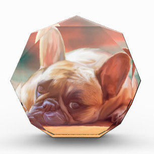 Cute French Bulldog Water Color Art Painting Award