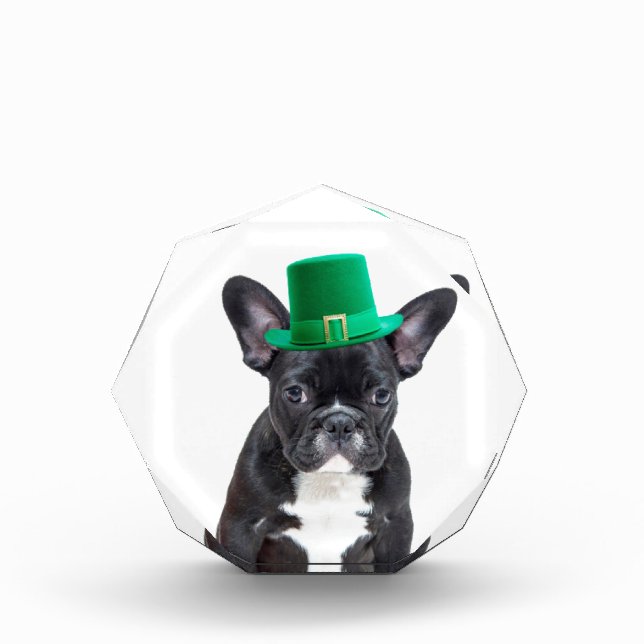 Cute French Bulldog with Hat St. Patrick's Day Award (Front)