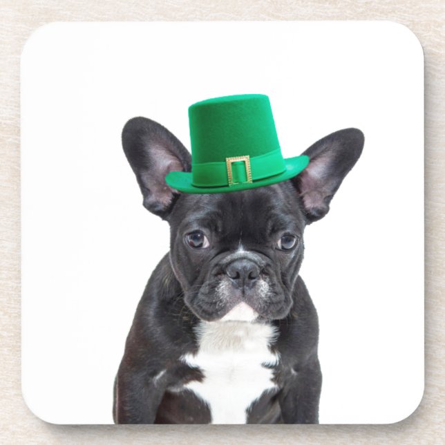 Cute French Bulldog with Hat St. Patrick's Day Beverage Coaster (Front)