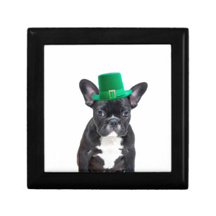 Cute French Bulldog with Hat St. Patrick's Day Jewelry Box