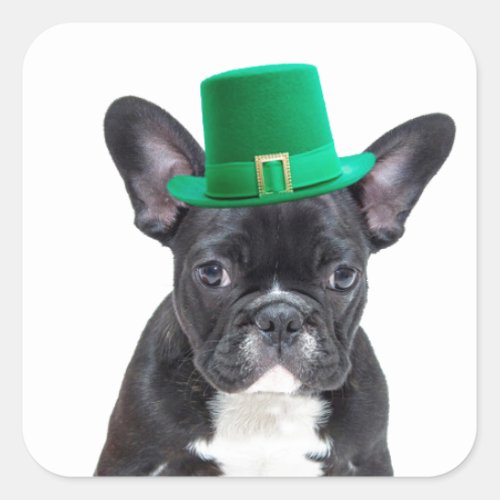 Cute French Bulldog with Hat St Patricks Day Square Sticker