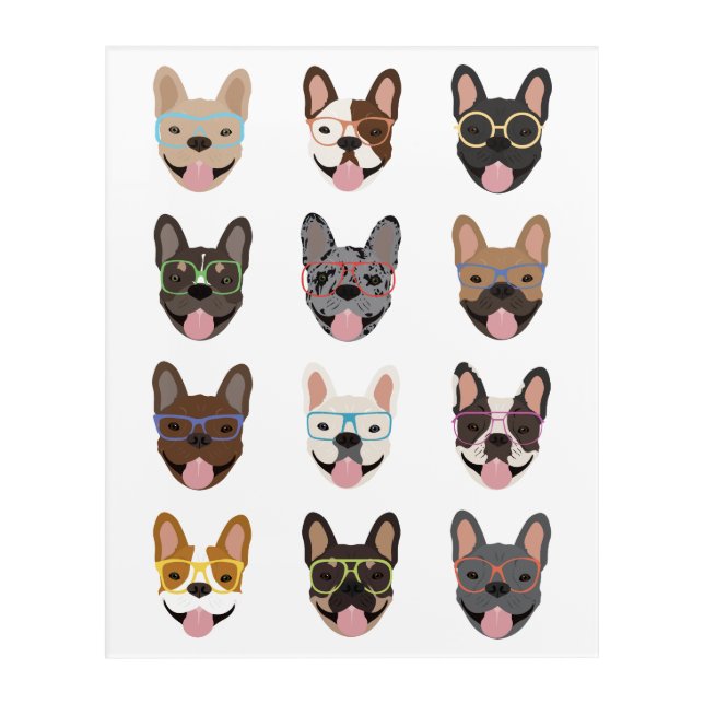 Cute French Bulldogs Wearing Glasses Acrylic Print (Front)