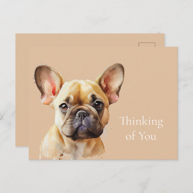 Cute Frenchie thinking of you Postcard (Front/Back)