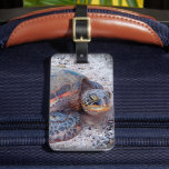 Cute Friendly Hawaiian Sea Turtle Honu Photo Luggage Tag<br><div class="desc">Gentle, beautiful sea turtles are a special sighting in Hawaii. Take them with you anywhere you go with this photo luggage tag. Makes a great gift for someone special! You can easily personalize this luggage tag plus I also offer customization on any product. Please message me with any questions or...</div>