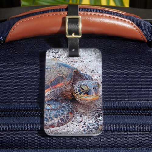 Cute Friendly Hawaiian Sea Turtle Honu Photo Luggage Tag