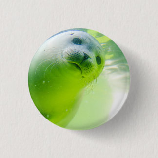 Cute Friendly Seal Underwater Button