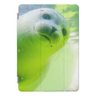 Cute Friendly Seal Underwater iPad Pro Cover