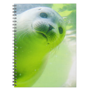 Cute Friendly Seal Underwater Notebook