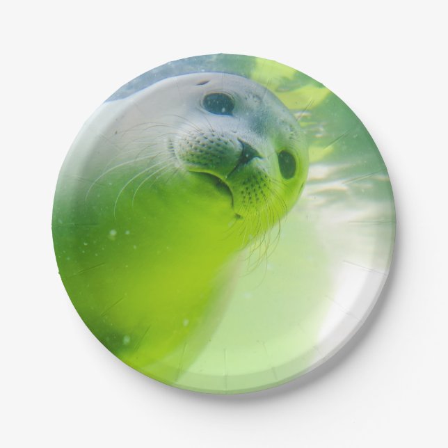 Cute Friendly Seal Underwater Paper Plates (Front)