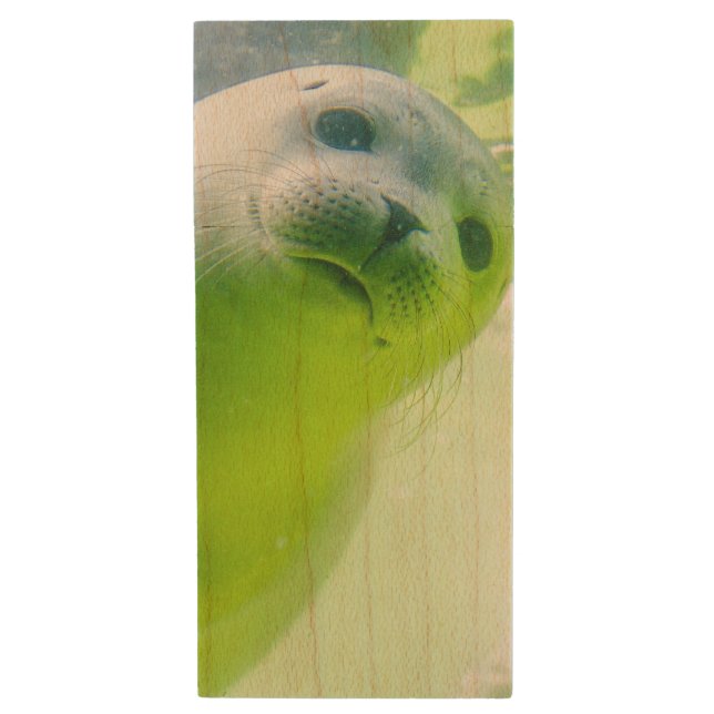 Cute Friendly Seal Underwater Wood Flash Drive (Front Vertical)