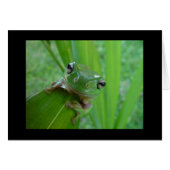 Cute Frog Card (Front Horizontal)