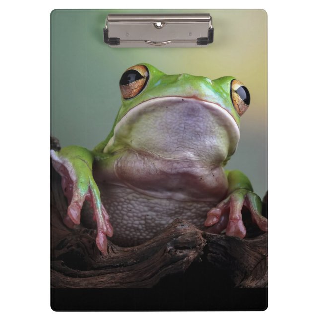 Cute Frog Clipboard (Front)