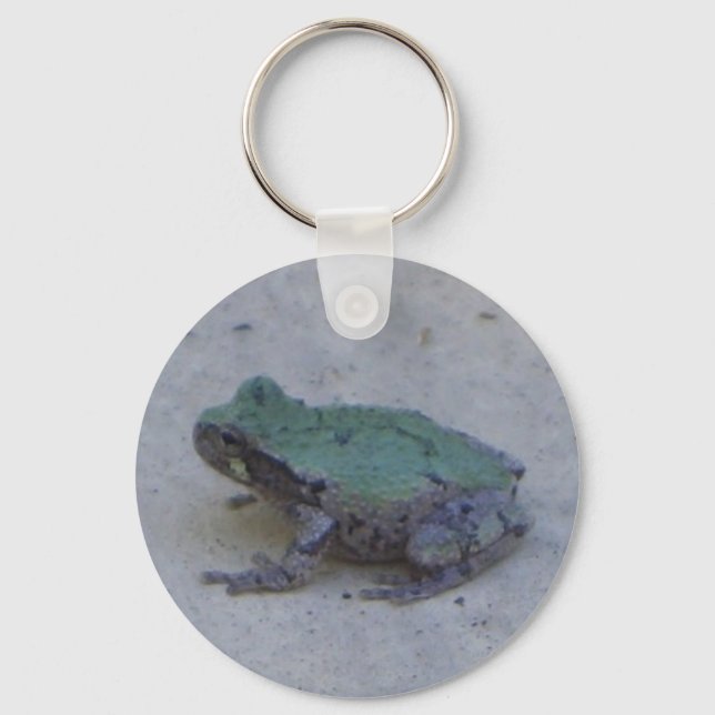 Cute frog keychain (Front)