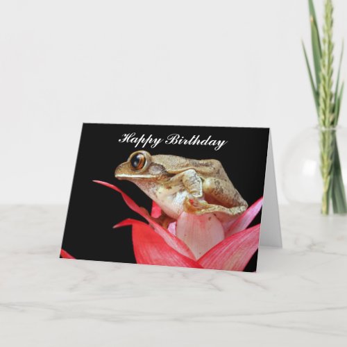 Cute frog on red flower happy birthday card