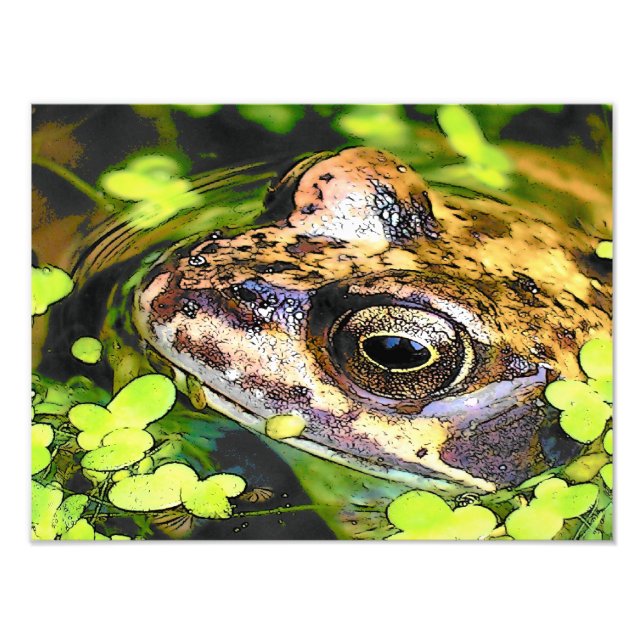 CUTE FROG PHOTO PRINT (Front)