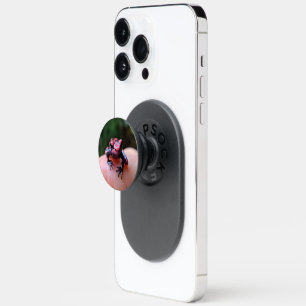 Cute Frog PopSocket