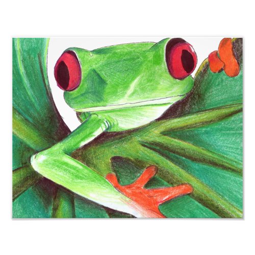 cute frog print
