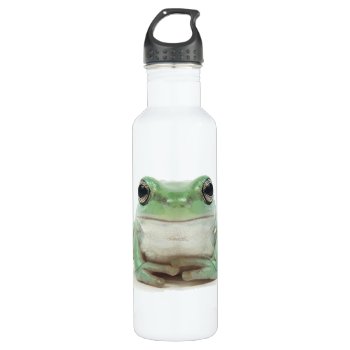 Cute Frog Water Bottle by pmcustomgifts at Zazzle