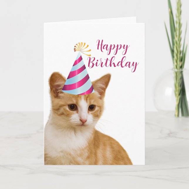 Cute From Your Pet Cat Happy Birthday Greeting  Card (Front)