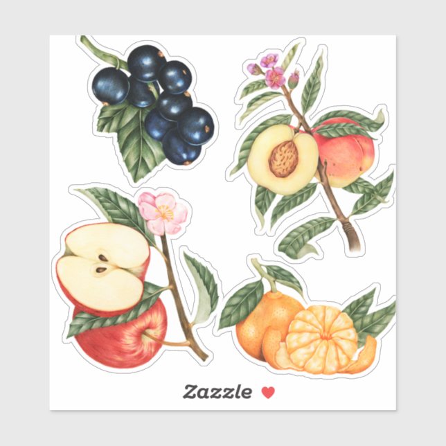 Cute Fruit Sticker (Sheet)