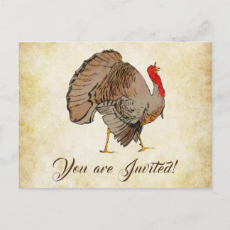 Cute Full Color Turkey Postcard