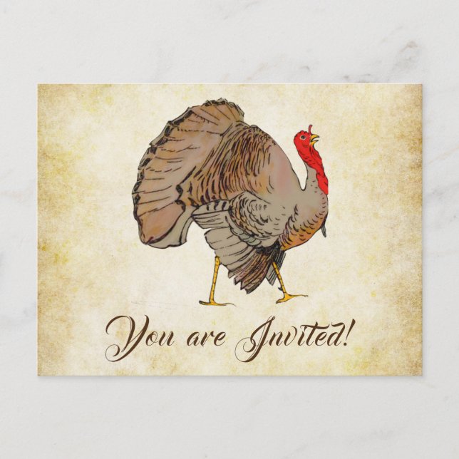 Cute Full Color Turkey Postcard (Front)
