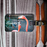 Cute fun pink flamingo birds photo custom name luggage tag<br><div class="desc">Who says flamingos can’t have fun with their favorite pal? Enjoy this entertaining image whenever you use this stunning, colorful photo personalized name luggage tag of two pink flamingos playing around. Makes a great gift for your best friend! Just type in the name of your choice and you can easily...</div>