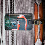 Cute fun pink flamingo birds photo custom name luggage tag<br><div class="desc">Who says flamingos can’t have fun with their favorite pal? Enjoy this entertaining image whenever you use this stunning, colorful photo personalized name luggage tag of two pink flamingos playing around. Makes a great gift for your best friend! Just type in the name of your choice and you can easily...</div>
