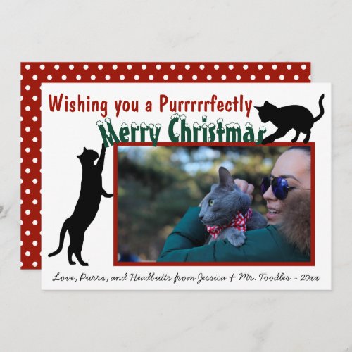 Cute Fun Playful Cats Merry Christmas Photo Holiday Card