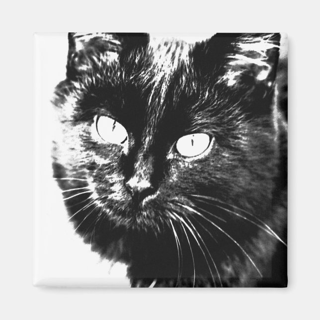 Cute Funky Black Cat Kitten Eyes Sketch Magnet (Front)