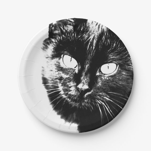 Cute Funky Black Cat Kitten Eyes Sketch Paper Plates (Front)