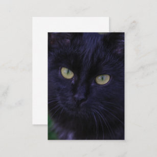 Cute Funky Black Cat Kitten Yellow Eyes Enclosure Card