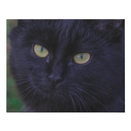 Cute Funky Black Cat Kitten Yellow Eyes Faux Canvas Print