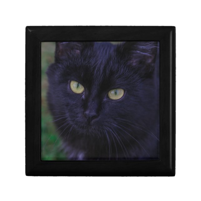 Cute Funky Black Cat Kitten Yellow Eyes Gift Box (Front)