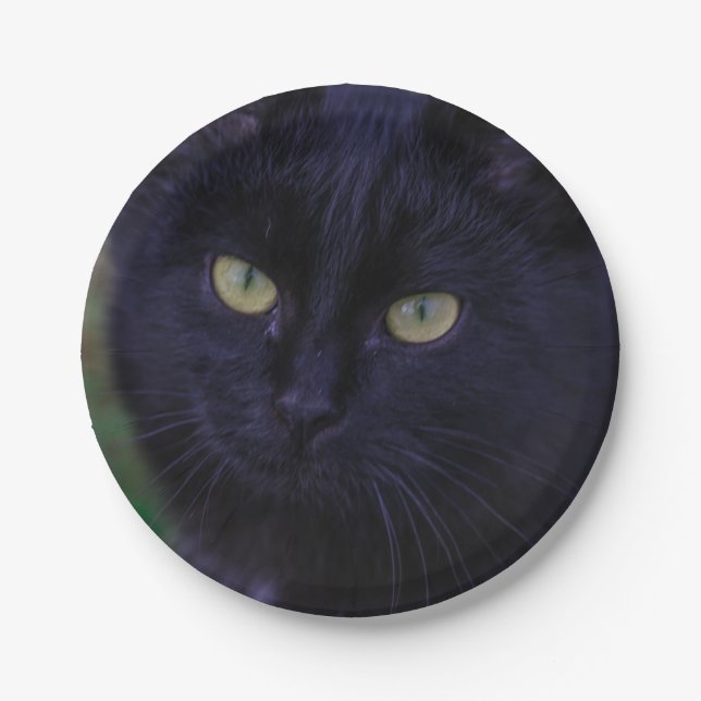 Cute Funky Black Cat Kitten Yellow Eyes Paper Plates (Front)