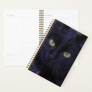 Cute Funky Black Cat Kitten Yellow Eyes Planner