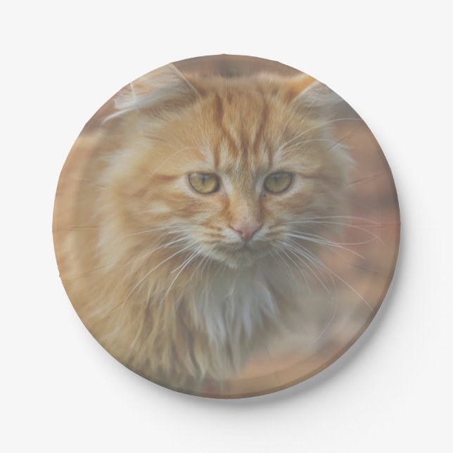 Cute Funky Ginger Cat Kitten Face Paper Plates (Front)